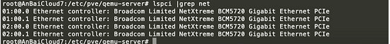 20210326160645 PVE(Proxmox VE)下网卡是如何设置直通的-图片1