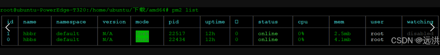 b9d11bb32eea6f01540352d33d699695 使用rustDesk搭建私有远程桌面-图片2