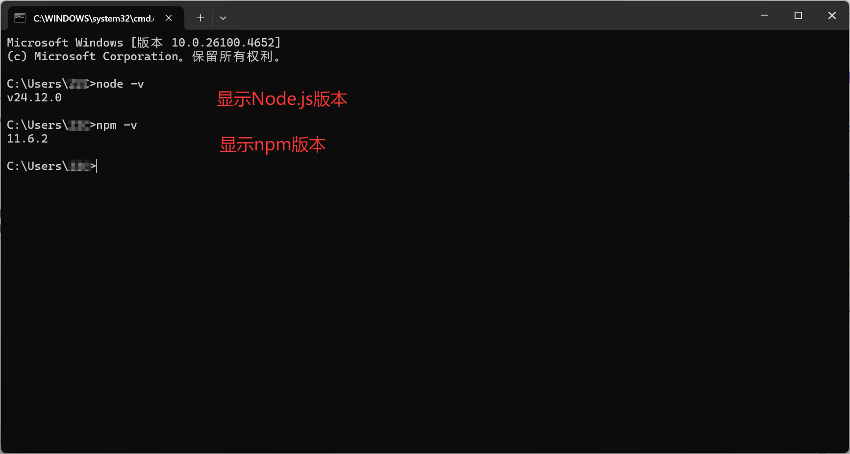 【保姆级】Node.js 最新安装教程,附环境变量配置-图片8