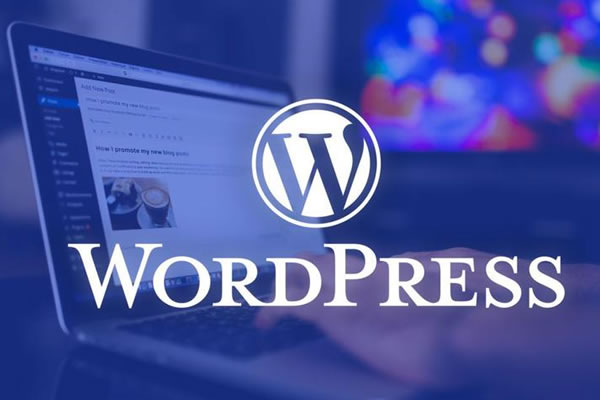 WordPress 应用开发